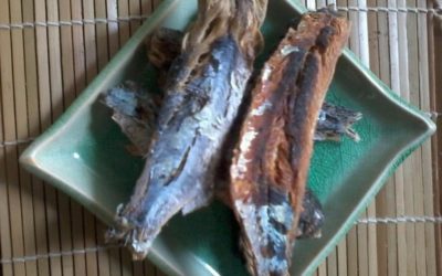 ComidaDiPraia